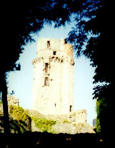 La Tour de Montlhry, vue du parc.